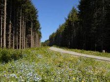 6-trail-val-di-bisenzio-corri-sui-sentieri-del-monferrato