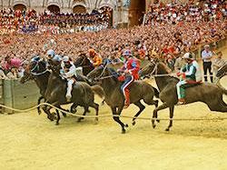palio-di-siena-vince-la-giraffa