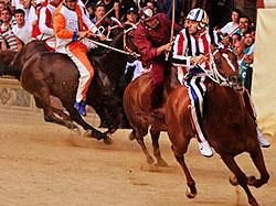 b008062125-abolizione-palio-di-siena-non-si-placano-le-polemiche