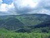 a505061710-prendera-il-via-domani-sabato-7-maggio-dall-eremo-di-camaldoli-l-iniziativa-di-natura-e-d-alchimia-percorsi-nella-natura-alla-ricerca-di-erbe-aromi-medicamenti-e