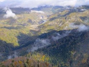 b402111518-parco-nazionale-delle-foreste-casentinesi-monte-falterona-e-campigna