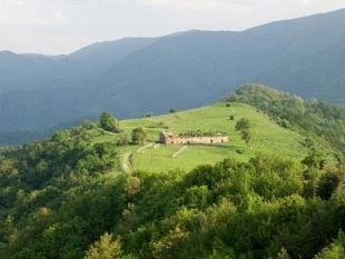 b104201822-foreste-casentinesi-lungo-week-end-di-pasqua-nella-natura