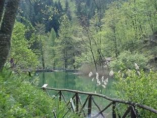 b008121243-weekend-di-ferragosto-nel-parco-delle-foreste-casentinesi
