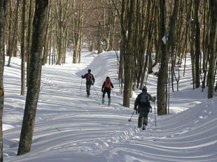 a901222126-parco-delle-foreste-casentinesi-un-week-end-tutto-da-vivere