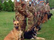 a710051911-esercito-i-cinofili-di-grosseto-in-partenza-per-libano-e-afghanistan