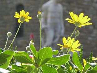 la-citta-metropolitana-per-costruire-una-delle-maggiori-aree-urbane-del-paese