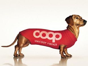 b003191407-coop-firenze-l-antitrust-acquisisce-la-denuncia-aduc