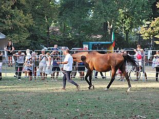 b109171437-expo-rurale-straordinario-successo-di-pubblico