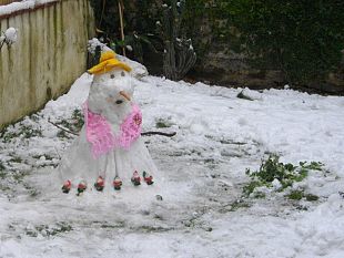 a912191344-neve-a-firenze-disagi-e-timori-per-l-abbassamento-delle-temperature