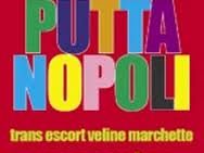 b103291242-puttanopoli--trans-escort-veline-e-marchette-sesso-e-potere