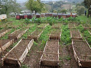 i-vivaisti-sono-pronti-a-fornire-piante-sempre-piu-adatte-ai-cambiamenti-climatici