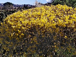 ciao-inverno-la-primavera-puo-davvero-iniziare