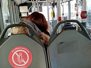 chiede-di-indossare-la-mascherina-autista-aggredita-da-bulli