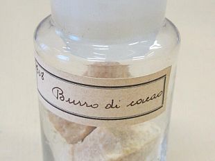 cacao-tra-cielo-e-terra