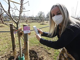 via-del-guarlone-un-bosco-al-posto-di-unarea-abbandonata