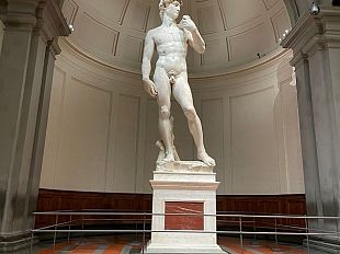 prof-licenziata-perche-fa-una-lezione-sul-david-di-michelangelo