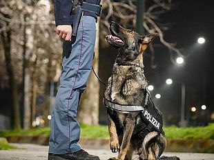 cascine-eviva-scova-un-chilo-di-droga-tra-i-cespugli