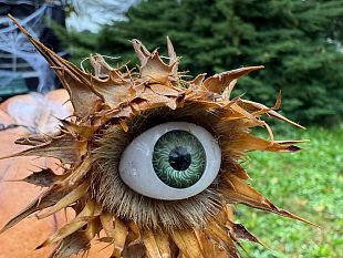 guida-ad-halloween-festival-zucche-ed-eventi-misteriosi