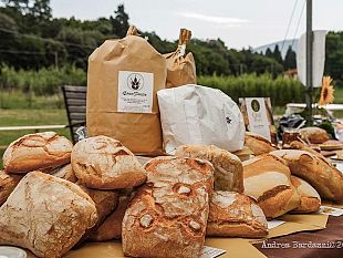 dal-17-al-19-giugno-a-prato-si-celebrano-300-anni-di-vino-e-di-gusto