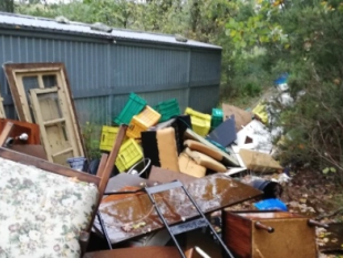 discarica-a-cielo-aperto-in-un-bosco-della-maremma