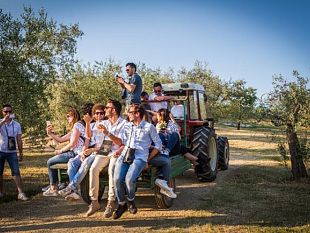 cantine-aperte-2019-torna-lultimo-weekend-di-maggio