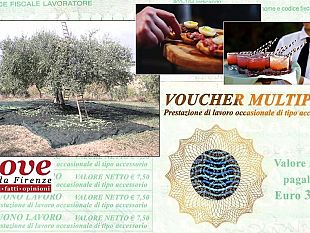 il-lavoro-buono-vivere-di-voucher-vantaggi-e-svantaggi