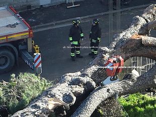 vento-e-neve-codice-giallo-anche-per-la-giornata-di-lunedi-13-gennaio