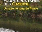 a506081532-flore-spontanee-des-cascine-parc-le-long-du-fleuve