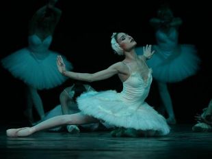 b005071851-estate-al-bargello-tra-teatro-musica-e-danza