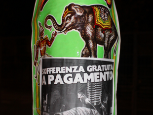 b101101434-casapound-italia-circo-sofferenza-gratuita-a-pagamento