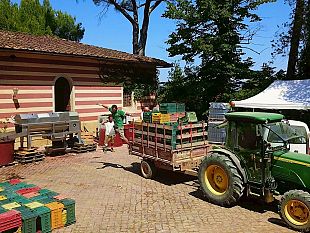 tenuta-di-poggio-a-pino