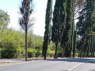 a-16-anni-su-uno-scooter-rubato-e-senza-patente