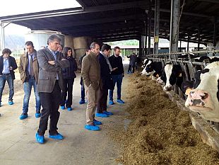 agricoltura-4-milioni-dalla-regione-per-la-coltivazione-di-montagna
