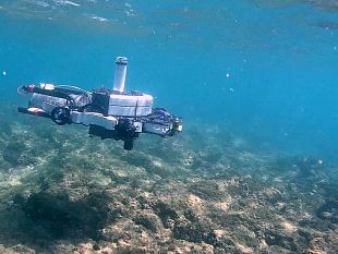 ricercatori-in-azienda-dal-drone-subacqueo-ai-fattori-molecolari