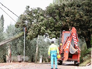 vento-forte-in-mugello-pian