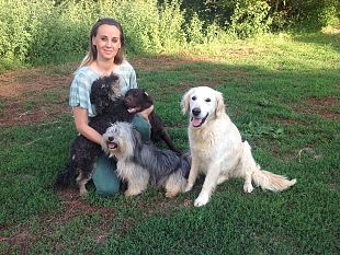 quattro-cani-eroi-ricevono-il-premio-fedelta-per-la-pet-therapy