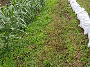 maltempo-codice-giallo-per-piogge-fino-alle-13-di-domenica-nel-sud-est-della-toscana