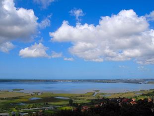 lago-di-massaciuccoli-multa-di-1600-euro-a-pescatori-di-frodo-cinesi