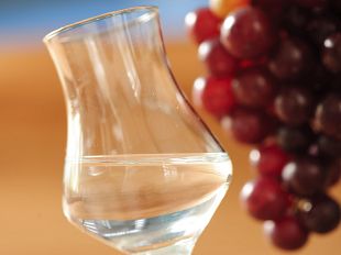 a-maggio-a-firenze-la-pisco-week
