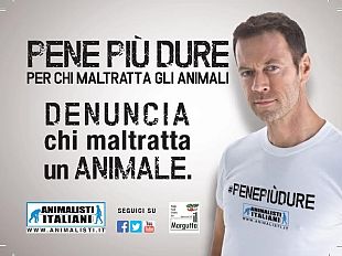 rocco-siffredi-a-pisa-pene-piu-dure-per-chi-maltratta-gli-animali