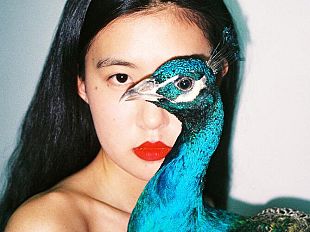 peacock-di-ren-hang-diventa-un-filtro-instagram