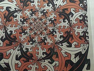 a-pisa-la-mostra-di-escher-mostra-pisa