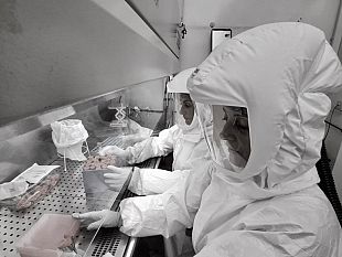 in-toscana-il-primo-progetto-pilota-di-screening-neonatale-del