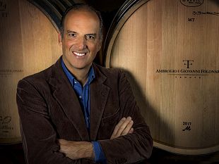 folonari-la-vendemmia-2019-si-preannuncia-eccellente