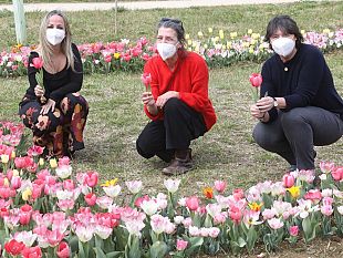 al-parco-del-mensola-650-nuovi-alberi-e-50mila-tulipani
