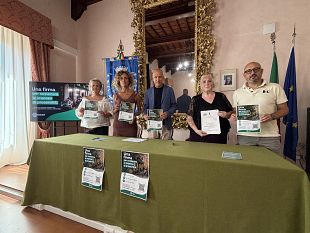 borghi-toscani-la-street-art-come-motore-di-rigenerazione