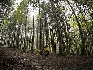 trail-sacred-forests-ritorno-al-passato