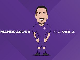 mandragora-alla-fiorentina-a-titolo-definitivo