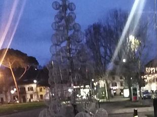 galluzzo-spento-lalbero-di-piazza-acciaioli-guasto-o-vandali