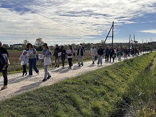 comitato-crocifisso-a-signa-trekking-di-protesta